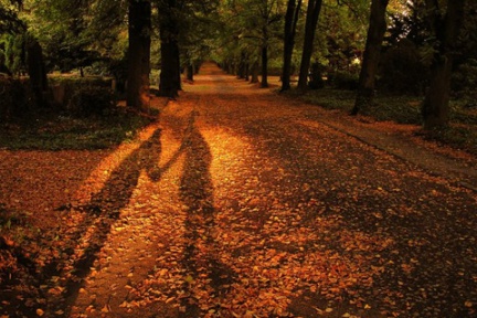 girl boy shadow on the leaves