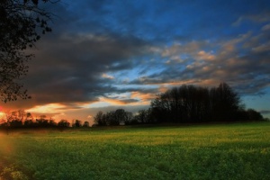 nature sun set