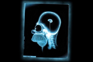 xrayof apps
