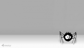 bug