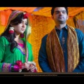 Mehndi Farrukh weds Wardha